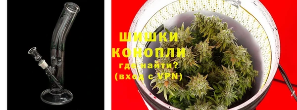 бошки Ладушкин