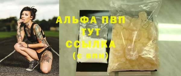 бошки Ладушкин