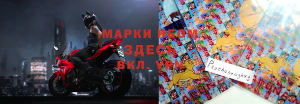 бошки Ладушкин
