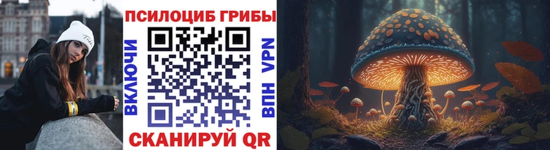 Псилоцибиновые грибы Magic Shrooms  Купить  Щёлкино 